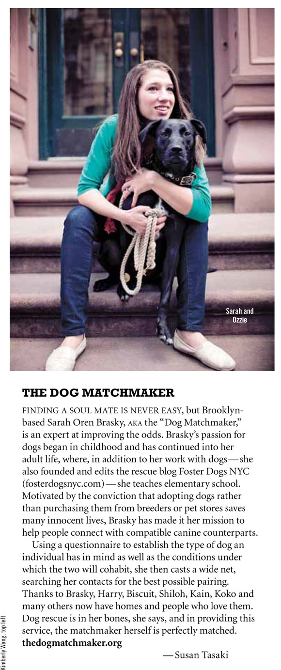 Feature in The Bark